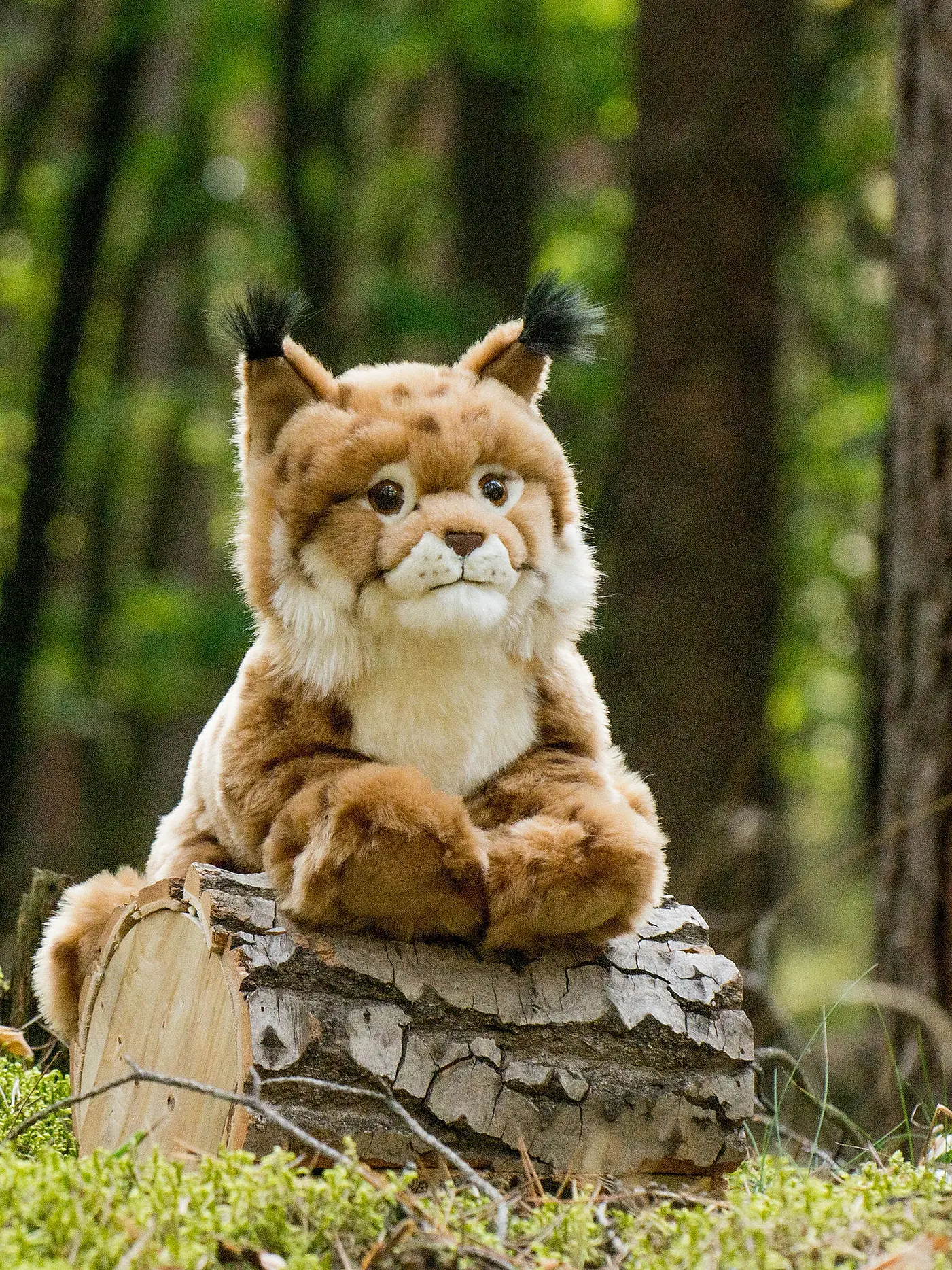 HERMANN TEDDY | Plüschtier - Luchs liegend 45cm | 